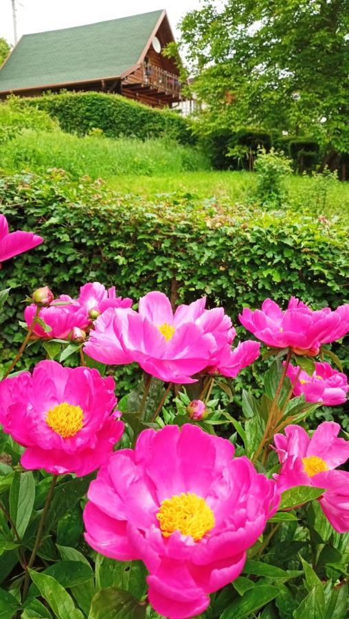 Apartman Relax In Nature 亚伊采 外观 照片